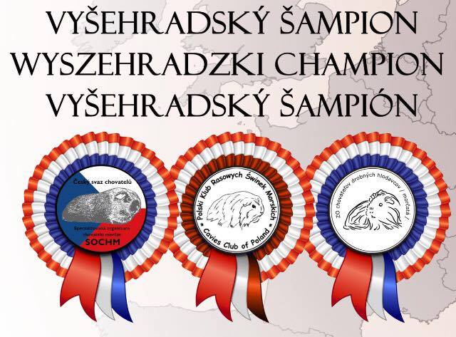 VYSCH